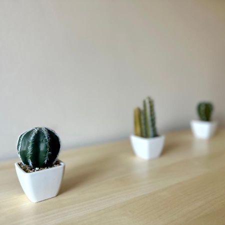 Mmrent Desert Room Гданьск Экстерьер фото